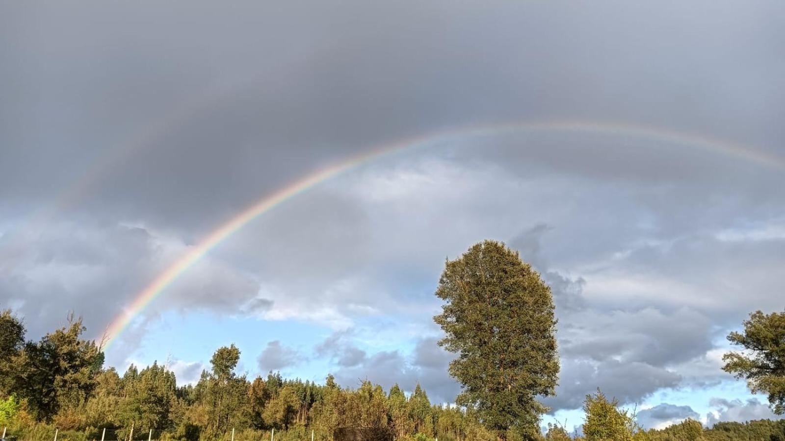 Quinta D' Luzarcoiris Villa Arganil Kültér fotó