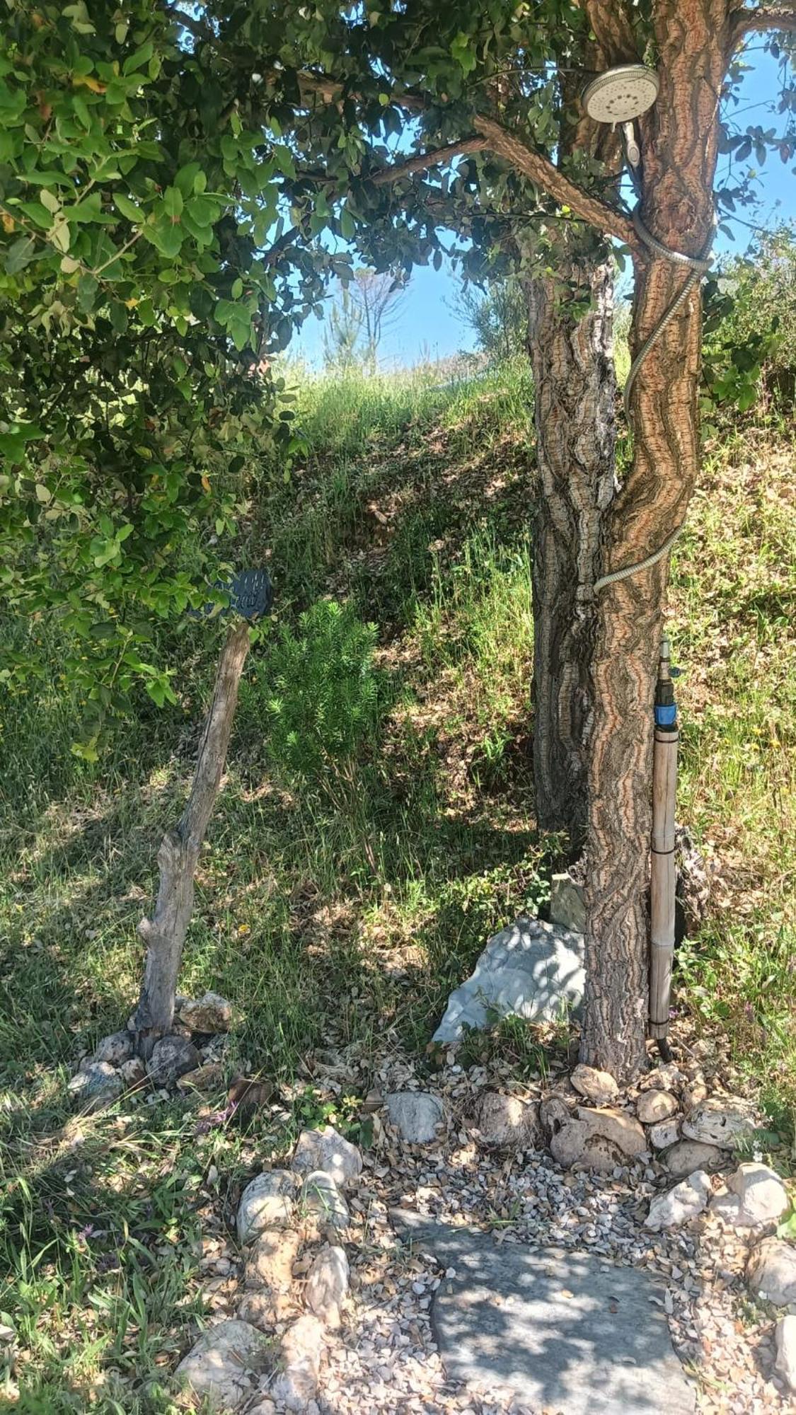 Quinta D' Luzarcoiris Villa Arganil Kültér fotó