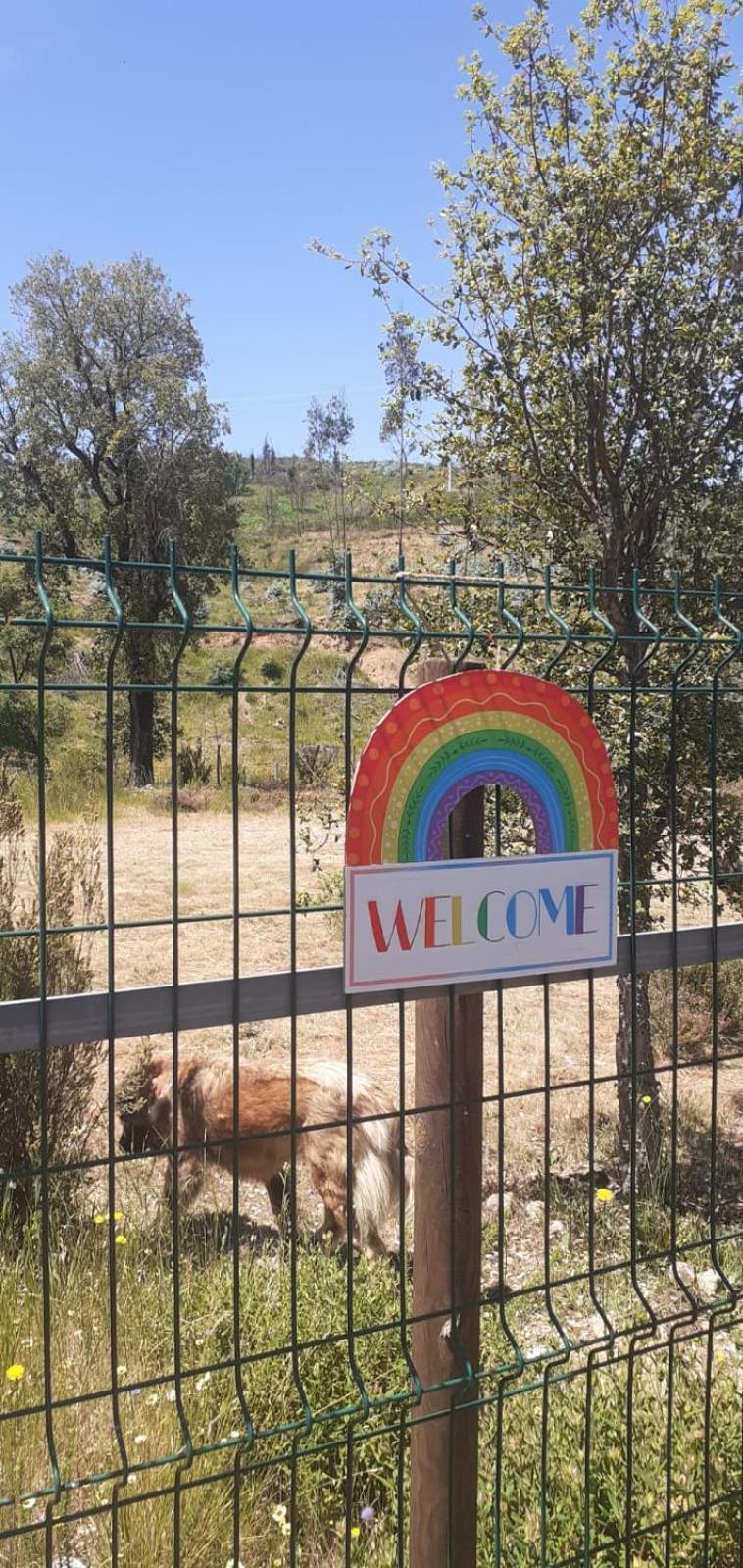 Quinta D' Luzarcoiris Villa Arganil Kültér fotó
